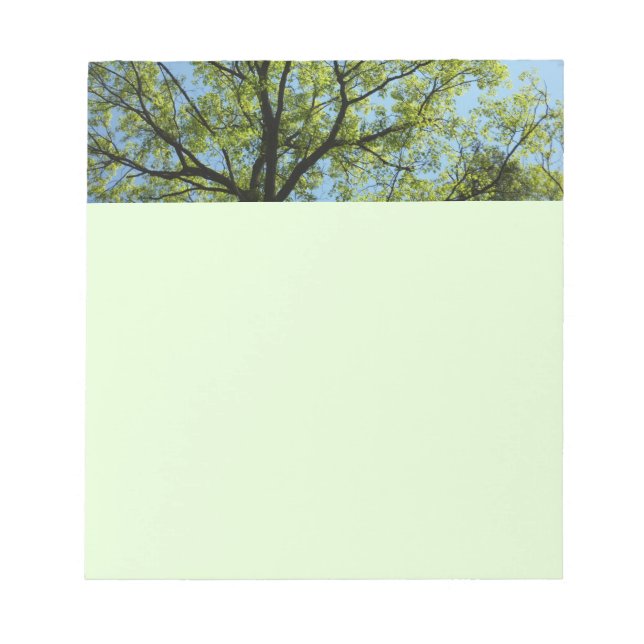 Vår Oak Träd Vibrant Natur Anteckningsblock (Framsida)