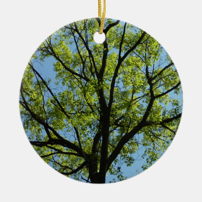 Vår Oak Träd Vibrant Natur Julgransprydnad Keramik (Framsidan)