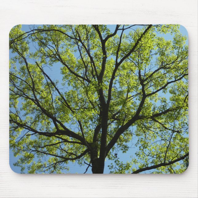 Vår Oak Träd Vibrant Natur Musmatta (Framsidan)