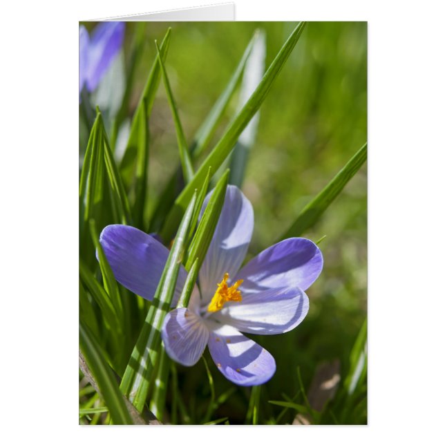 Vår OBS Kort (Framsidan)