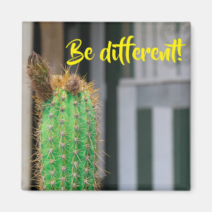 Var olika Cactus inspiration Magnet
