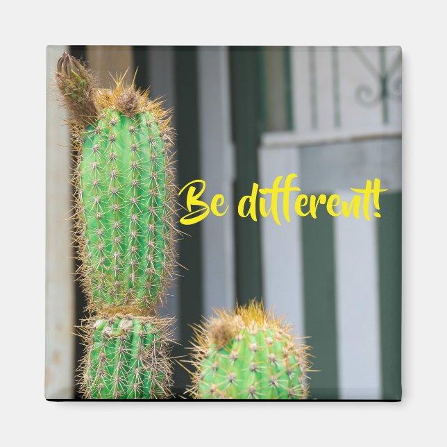 Var olika Cactus inspiration Magnet (Framsidan)