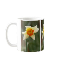Vår Orange Daffodil Mugg