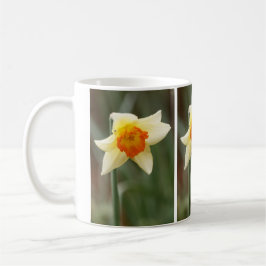 Vår Orange Daffodil Mugg