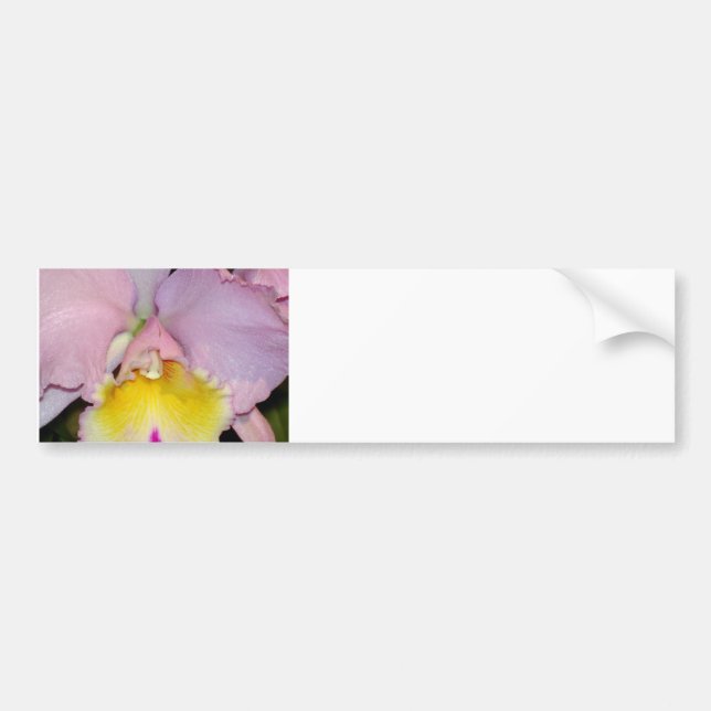 Vår Orchid Bildekal (Framsidan)