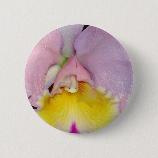 Vår Orchid Knapp (Framsida)