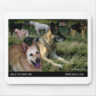 Var oss all väntan musmatta