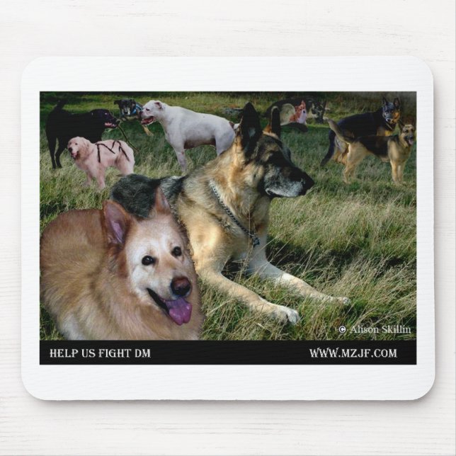 Var oss all väntan musmatta (Framsidan)