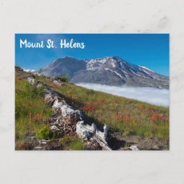 Vår på berget St. Helens Vykort