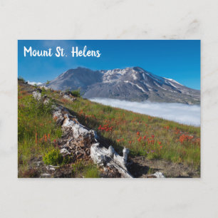 Vår på berget St. Helens Vykort