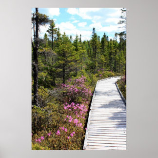 Vår på Bog Walk Poster