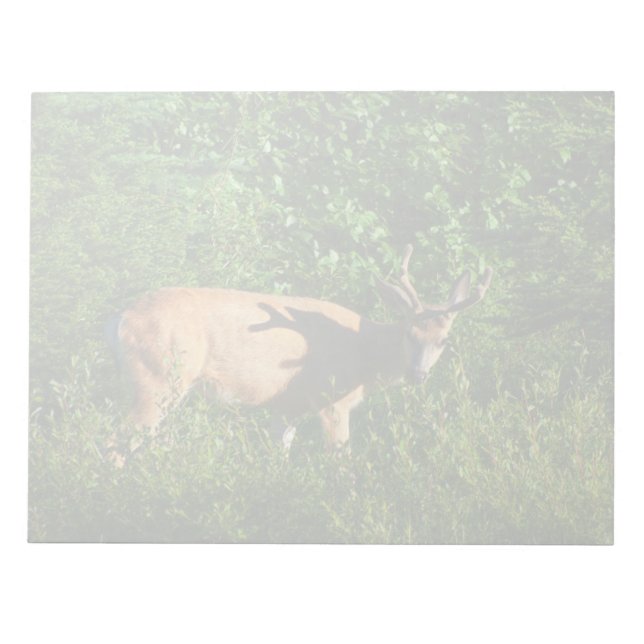 Var på väg anteckningsblock (Framsida)