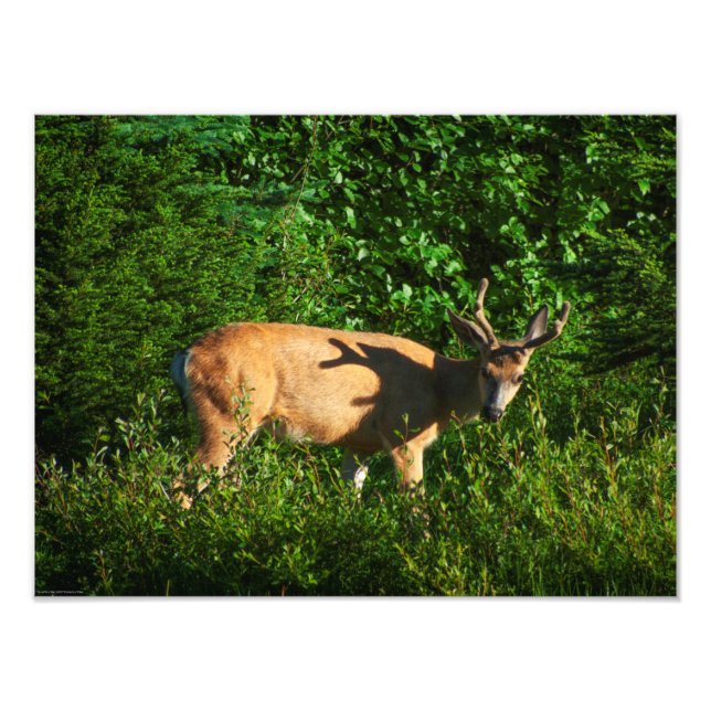 Var på väg fototryck (Framsidan)