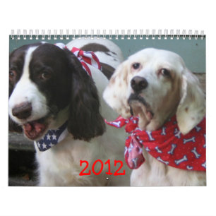 Vår packekalender 2012 kalender