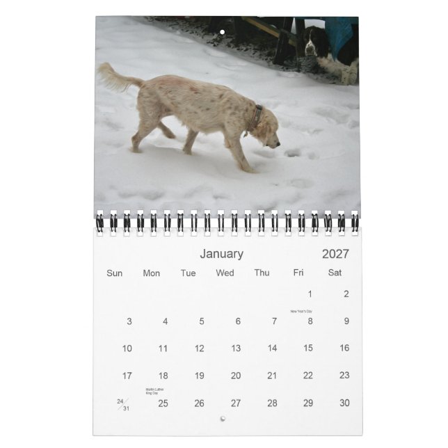 Vår paketkalender 2012, liten kalender (Jan 2027)