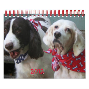 Vår paketkalender 2012, liten kalender