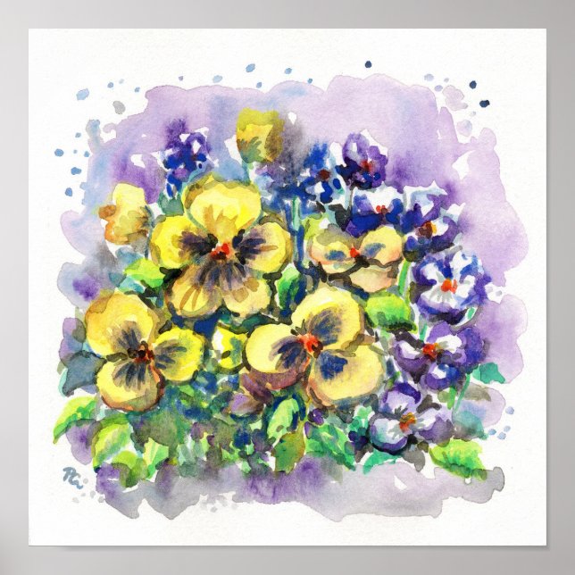 Vår Pansies Poster (Framsidan)