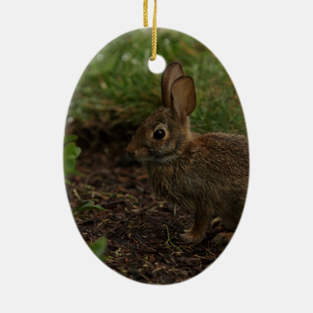 Vår/påsk: Chick kanin Julgransprydnad Keramik (Baksidan)