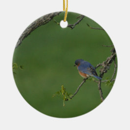 Vår/påsk: Male blåsångare, kvinnlig blåsångare Julgransprydnad Keramik