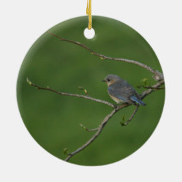 Vår/påsk: Male blåsångare, kvinnlig blåsångare Julgransprydnad Keramik