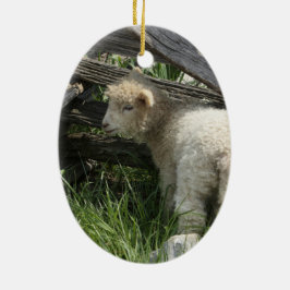 Vår/påsk: Två lambs samma gräs, ett vid staket Julgransprydnad Keramik