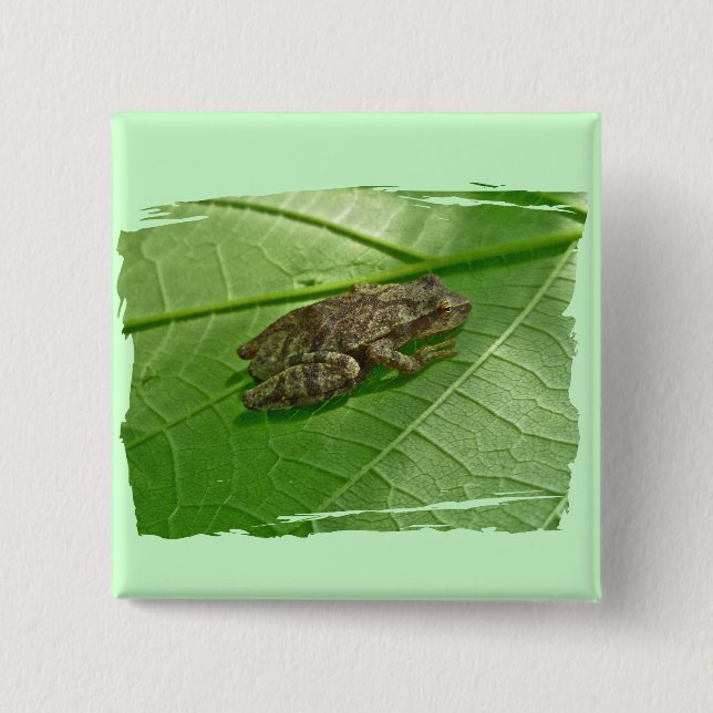 Vår Peeper (Pseudacris Crucifer) Treefrog Items Knapp (Framsida)