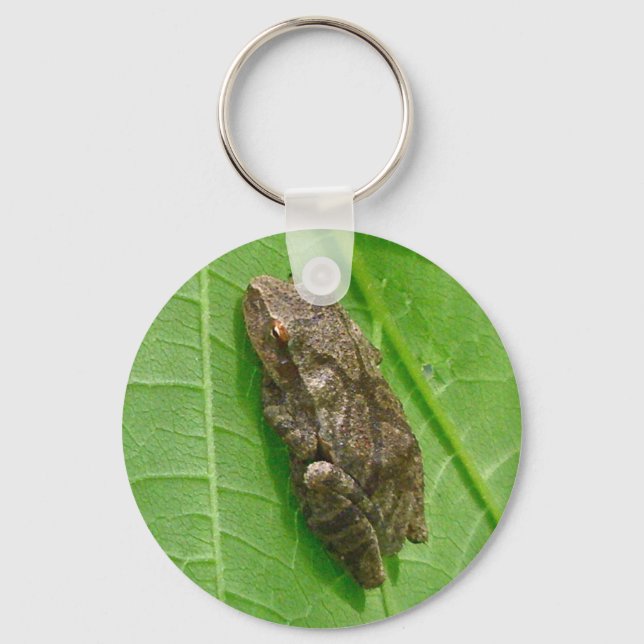 Vår Peeper (Pseudacris Crucifer) Treefrog Items Nyckelring (Framsida)