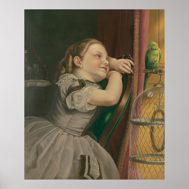 Vår Pet Polly Poster (Framsidan)