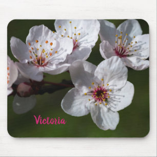 Vår Plum Blommars Musmatta