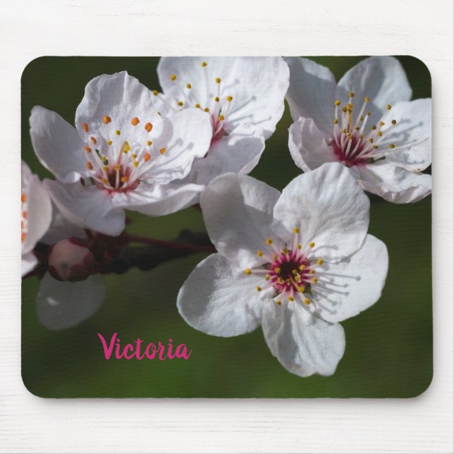 Vår Plum Blommars Musmatta (Framsidan)