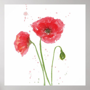 Vår Poppies Poster