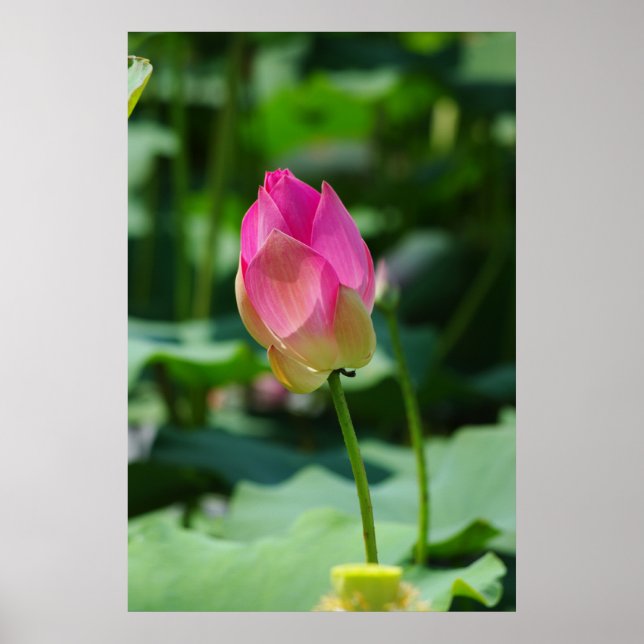 Vår Poster (Framsidan)