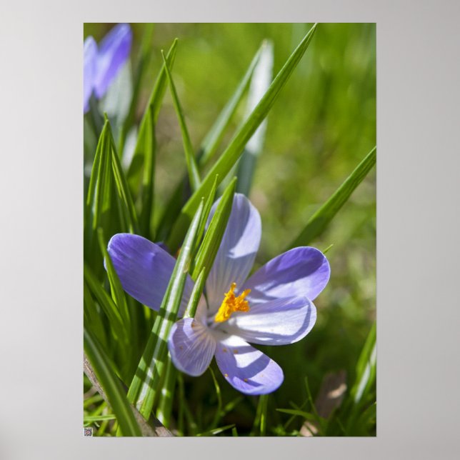 Vår Poster (Framsidan)