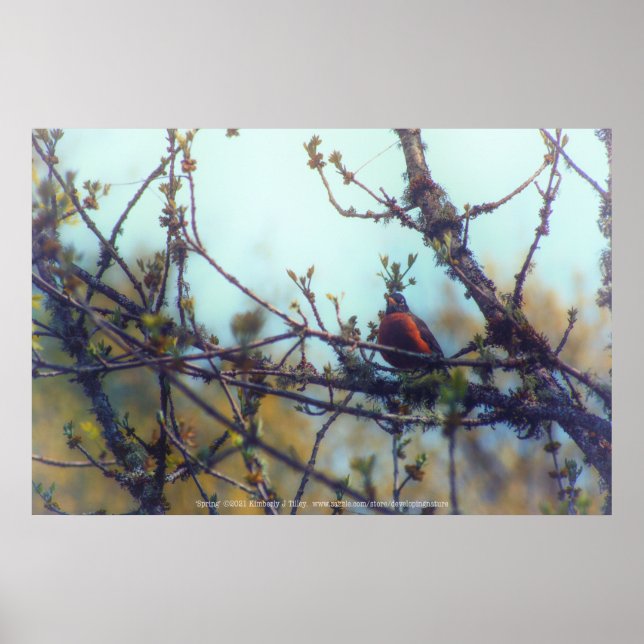 Vår Poster (Framsidan)