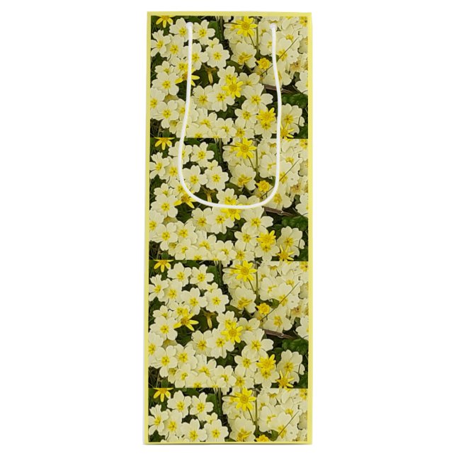 Vår Primroses (Framsidan)