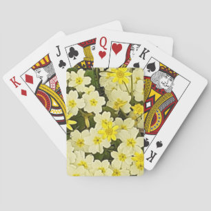 Vår Primroses Casinokort