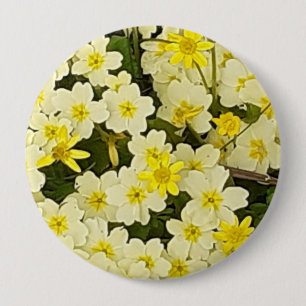 Vår Primroses Knapp