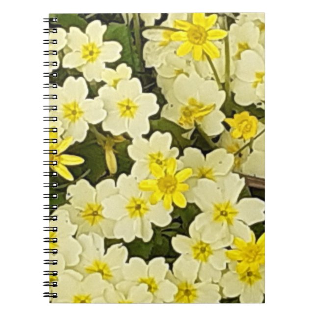 Vår Primroses Photo Notebook Anteckningsbok (Framsidan)