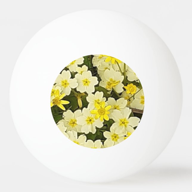 Vår Primroses Pingisboll (Framsidan)