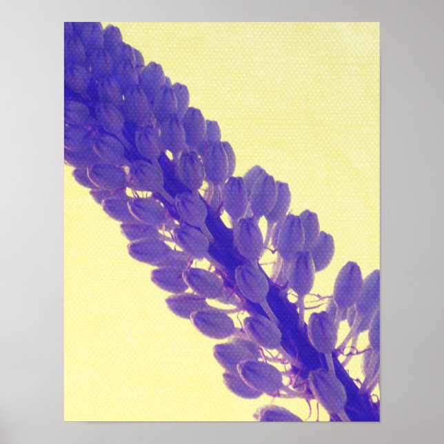 Vår Prints Poster (Framsidan)