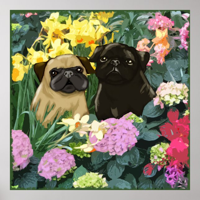 Vår Pugs Poster (Framsidan)