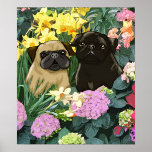 Vår Pugs Poster av Amy Cappelli