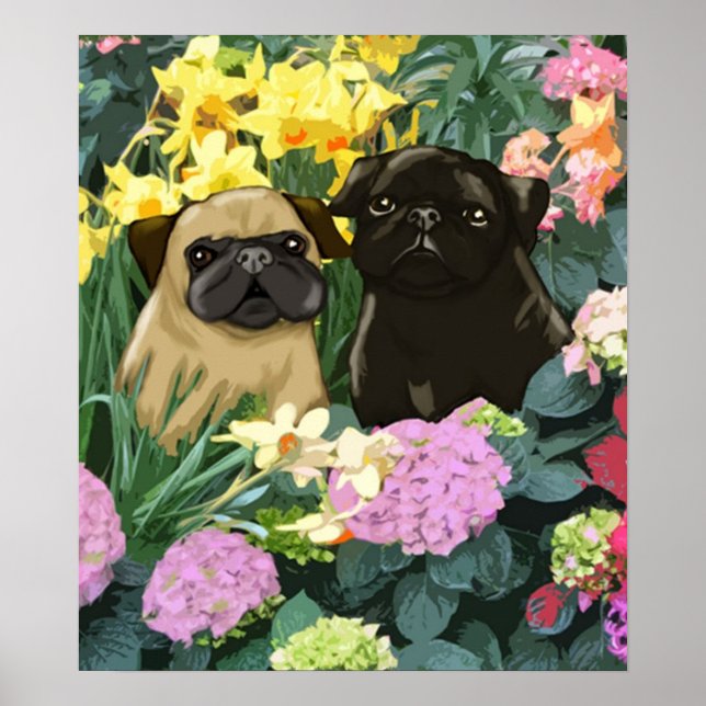 Vår Pugs Poster av Amy Cappelli (Framsidan)