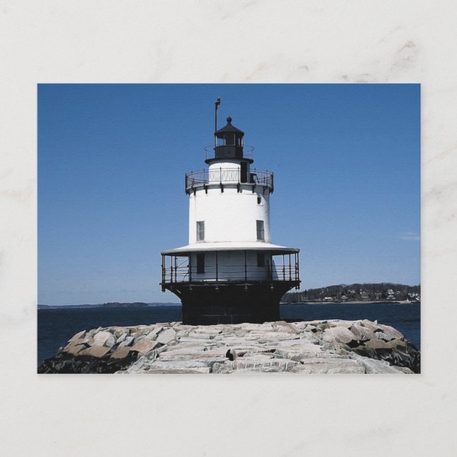 Vår-punktsfärg (06) 4x6 vykort (Framsida)