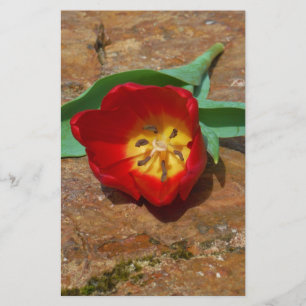 Vår Red Tulip Brevpapper