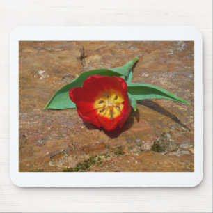 Vår Red Tulip Musmatta