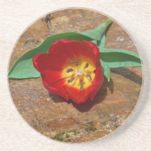 Vår Red Tulip Underlägg