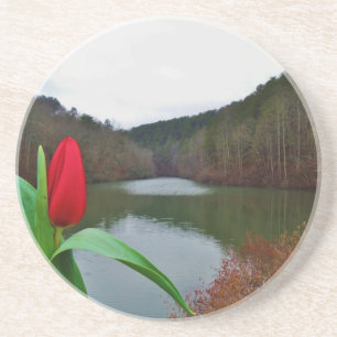Vår Red Tulip vid Sjö Arrowhad Underlägg Sandsten