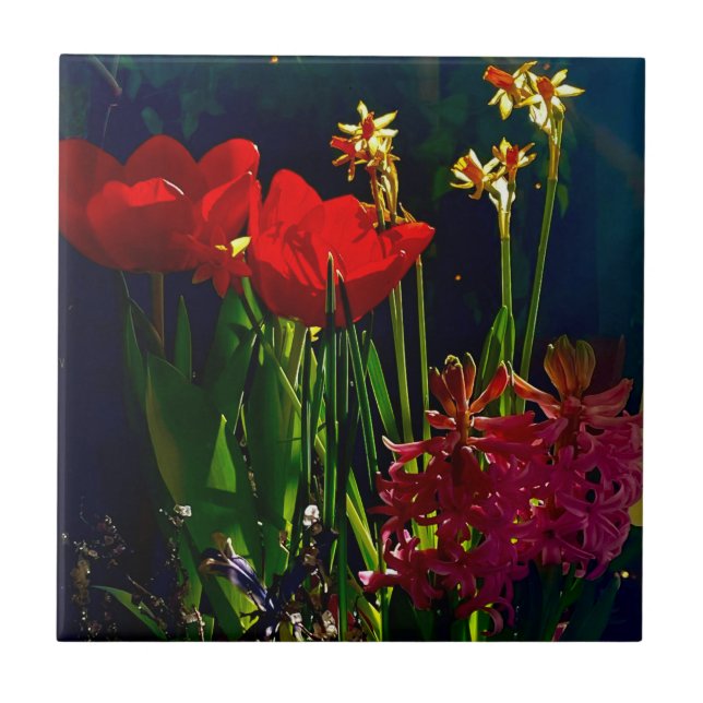 Vår Red Tulips Tile Kakelplatta (Framsidan)