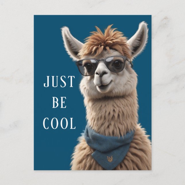 Var Riktig Cool Lamm-Smil Funkiga Alpaca Solglasög Vykort (Framsida)
